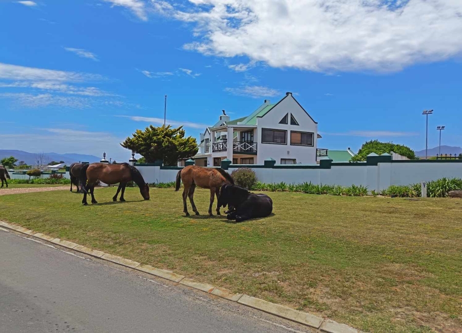 0 Bedroom Property for Sale in Fisherhaven Western Cape